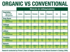 Is organic food worth it?