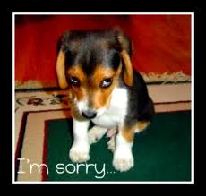 Do you make your child say “I am sorry” even if they are not?